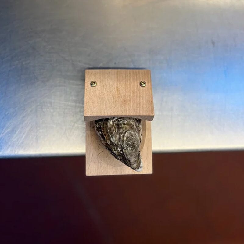 Oyster Opener Clamp