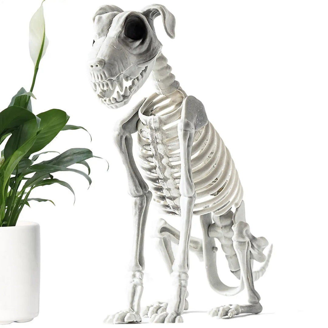 Kalsten | Spooky Skeleton Dog Halloween Decor Statue
