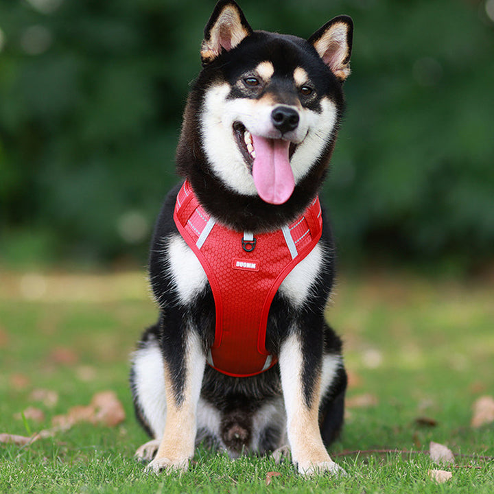 Kalsten | Reflective Dog Harness
