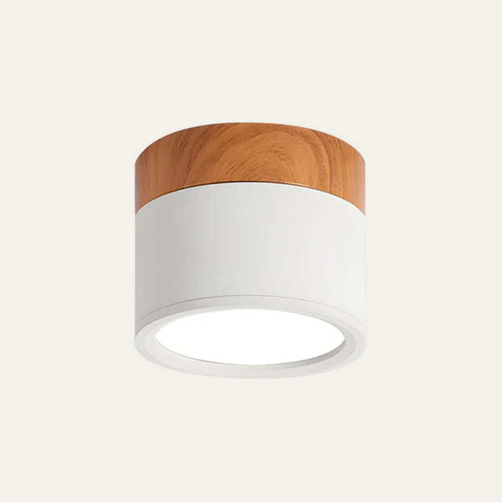 Kalsten | LED Ceiling Light Modern Flush Mount Cylinder