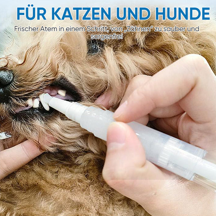New improved toothbrush pen for pets | Kalsten