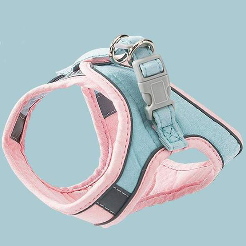 Harness and Leash Set for Cat | Kalsten