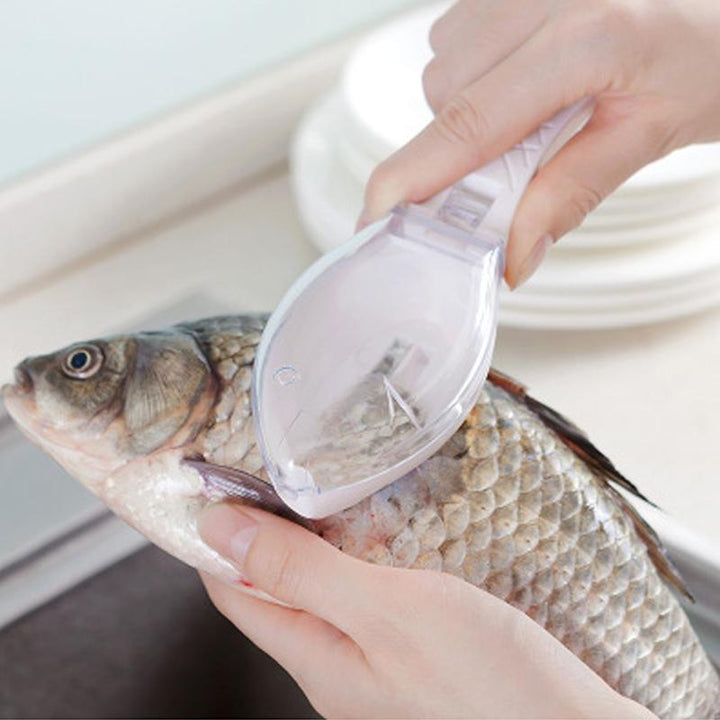 Fish skin scraping scale peeler | Kalsten