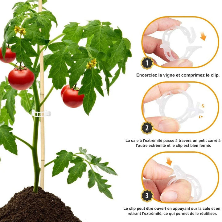 Plant support clips | Kalsten