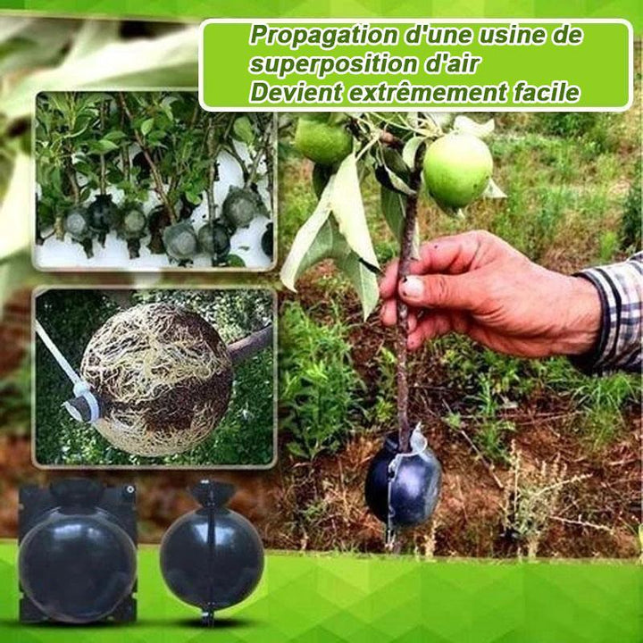 Air Layer Plant Propagation Capsule | Kalsten