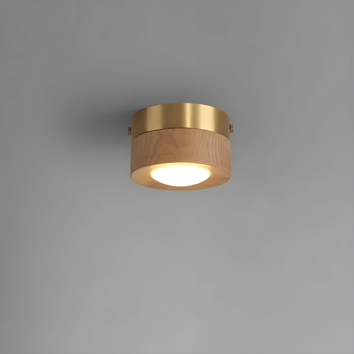 WalnutLume Light – Modern LED Ceiling Light made of Walnut Wood | Kalsten