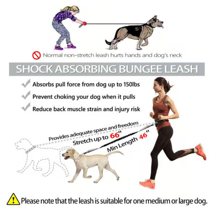 Kalsten | Hands Free Dog Leash with Zipper Bag