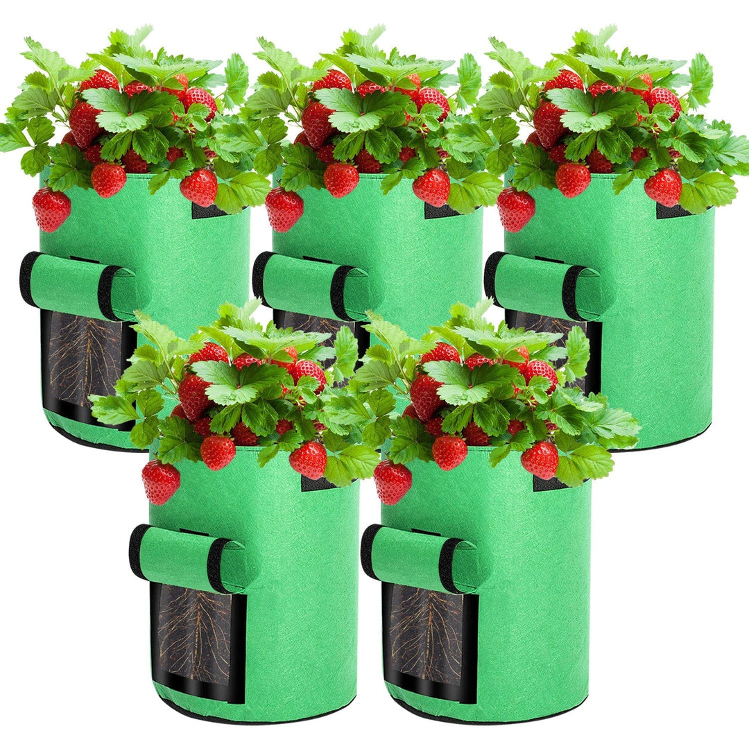 Plant sack planting bag plant pouch 5 pieces | Kalsten