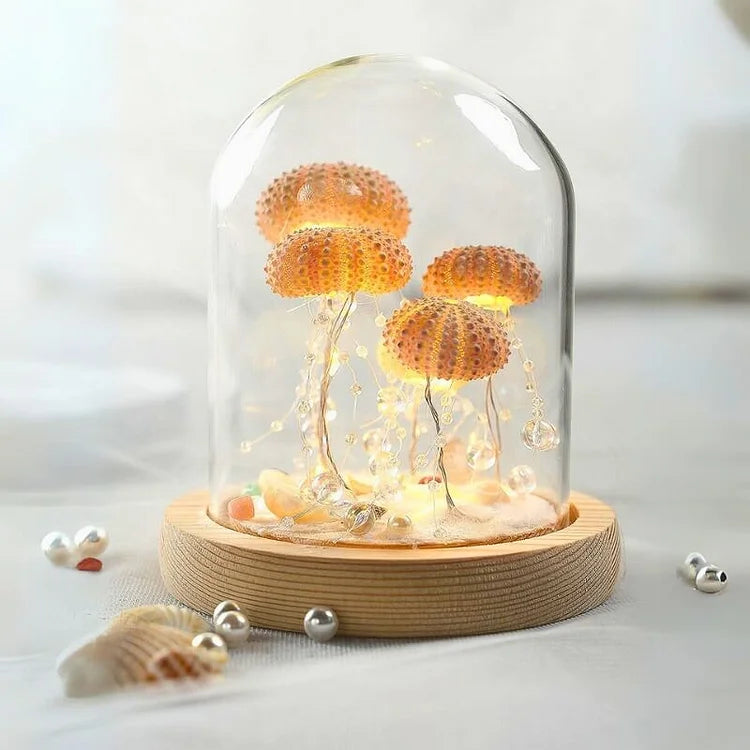 Kalsten | LumiCraft – Unique DIY table lamp with natural sea shell for a cozy décor