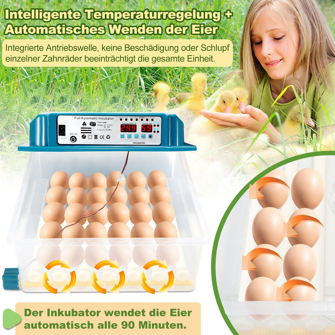 Brutautomat Fully Automatic Incubator for Chickens 36 Eggs | Kalsten