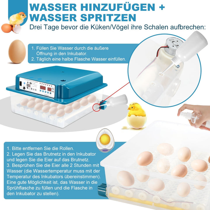 Brutautomat Fully Automatic Incubator for Chickens 36 Eggs | Kalsten
