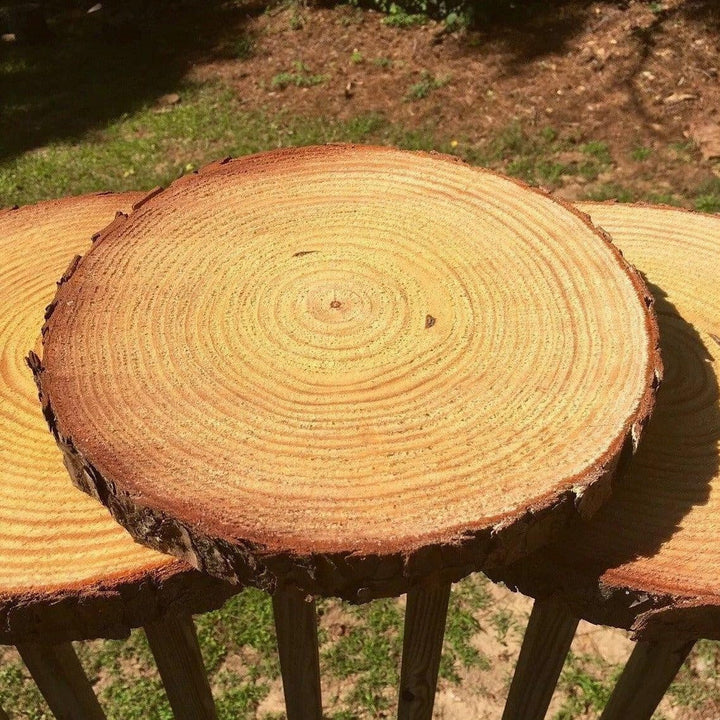 Natural Wood Slice Coasters | Kalsten