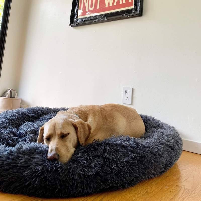 Orthopedic Plush Donut Dog Bed Kalsten