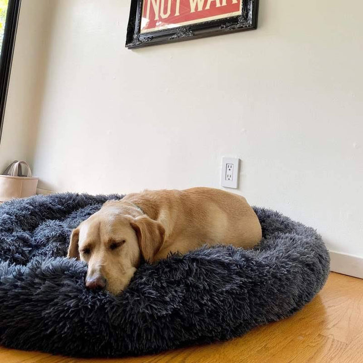 Orthopedic Plush Donut Dog Bed Kalsten