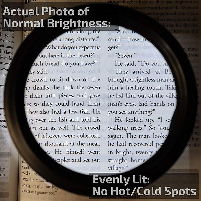 Kalsten | LED Reading Glasses Magnifier