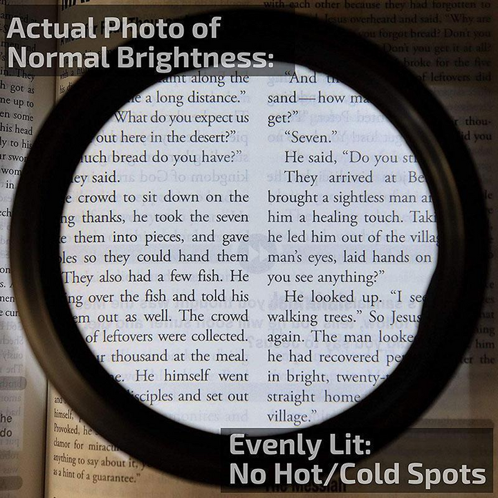 Kalsten | LED Reading Glasses Magnifier