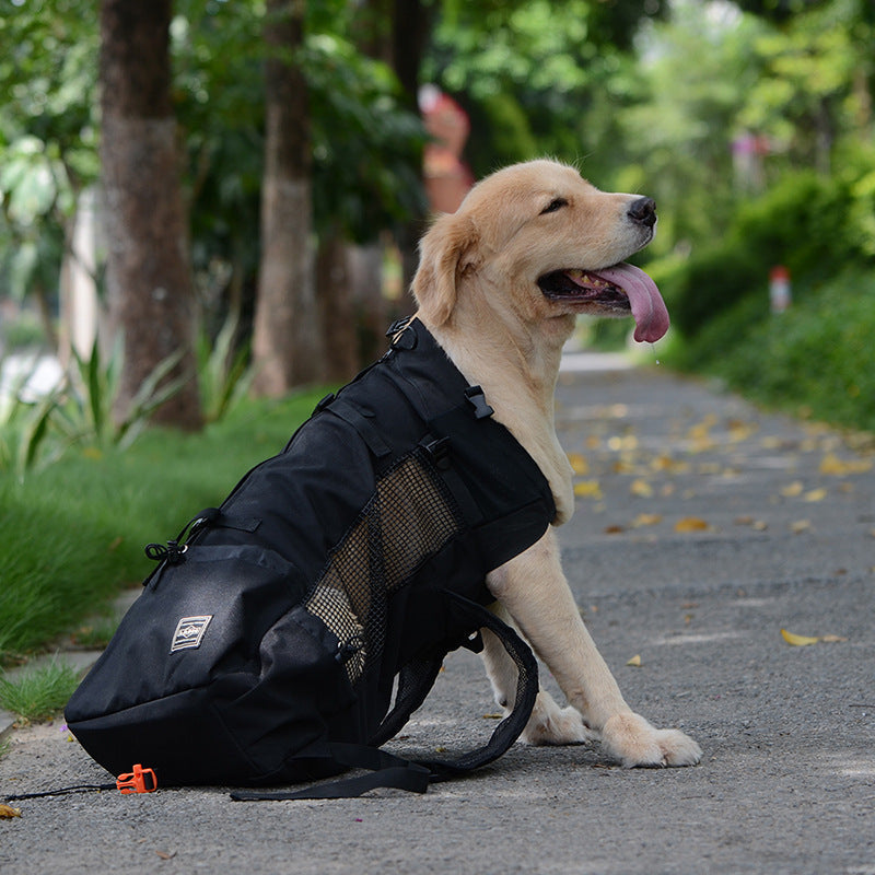 Kalsten | Dog Backpack – Comfortable Carrying Bag for Medium Dogs with Safety Strap and Storage Pockets