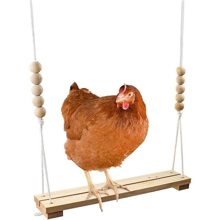 Kalsten | Chicken Swing Toy