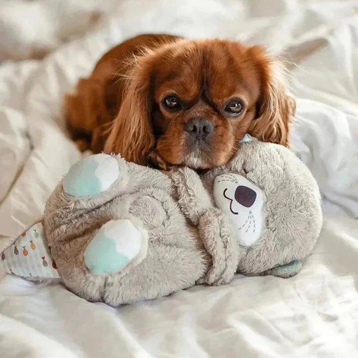 MyCuddy See your child sleep better than ever before! | Kalsten