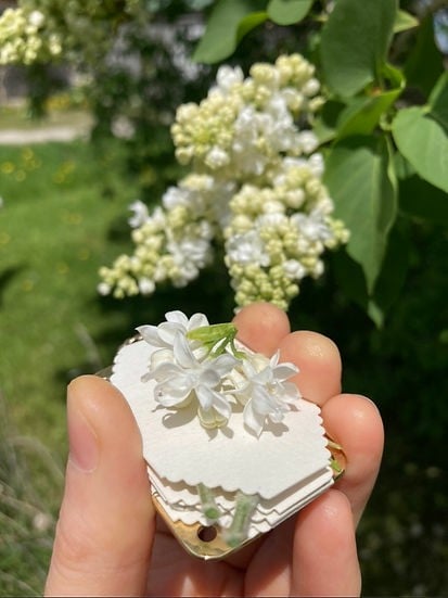 Kalsten | Mini Flower Press | Compact Botanical Keepsake Maker | Portable Craft Tool