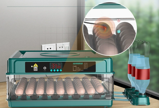 Kalsten | Digital Egg Incubator with Adjustable Tray