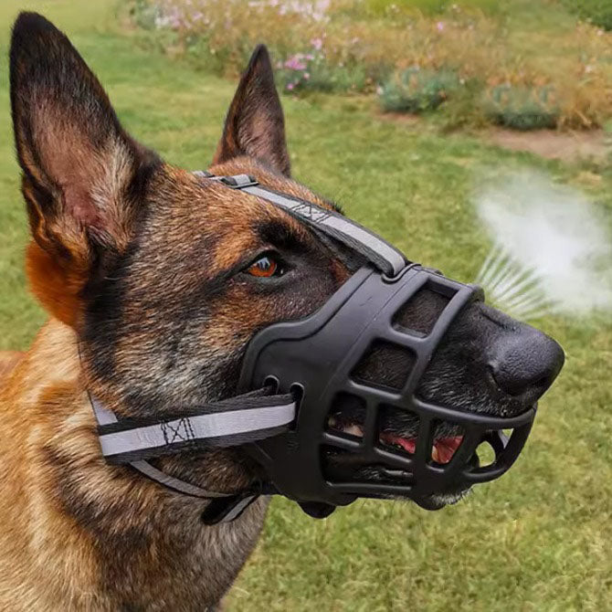 Kalsten 丨 Adjustable Dog Mouth Cover