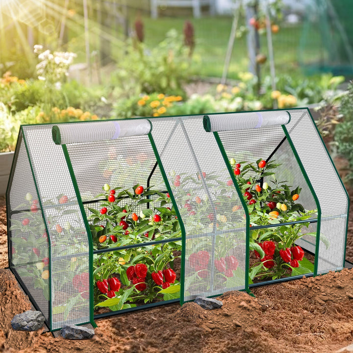 Greenhouse Tomato Greenhouse Hothouse | Kalsten