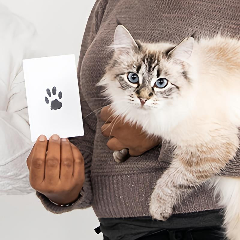 BowLift | Pet Paw Printing Kit