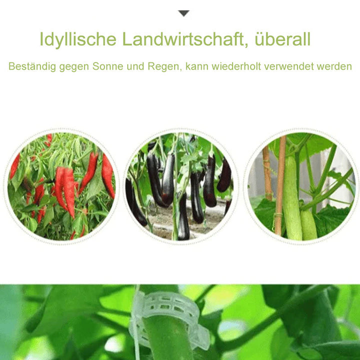 Practical Plant Support Clip | Kalsten