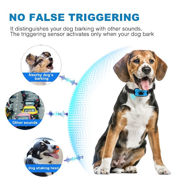 Anti-Bark Training Collar with Vibration