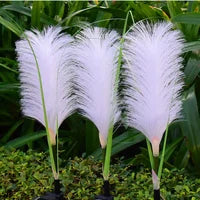 Decorative Rattan Garden Lighting - SunReed | Kalsten