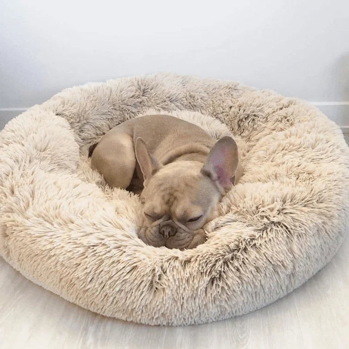 Orthopedic Plush Donut Dog Bed Kalsten