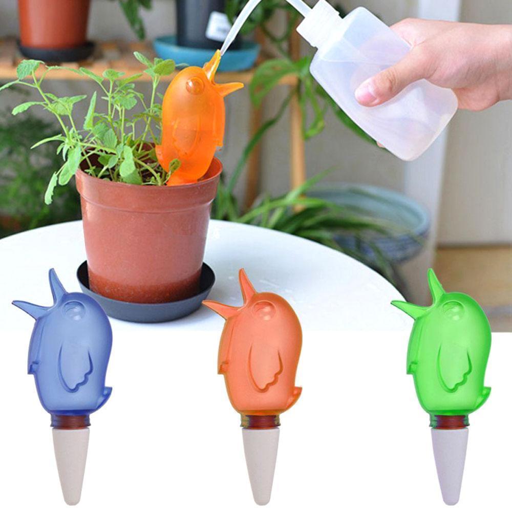 Automatic small bird watering device | Kalsten