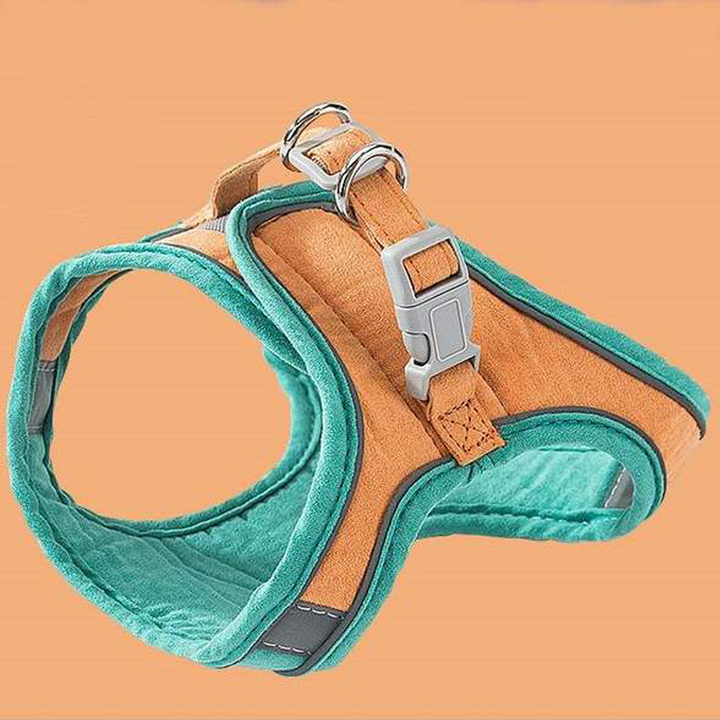Harness and Leash Set for Cat | Kalsten