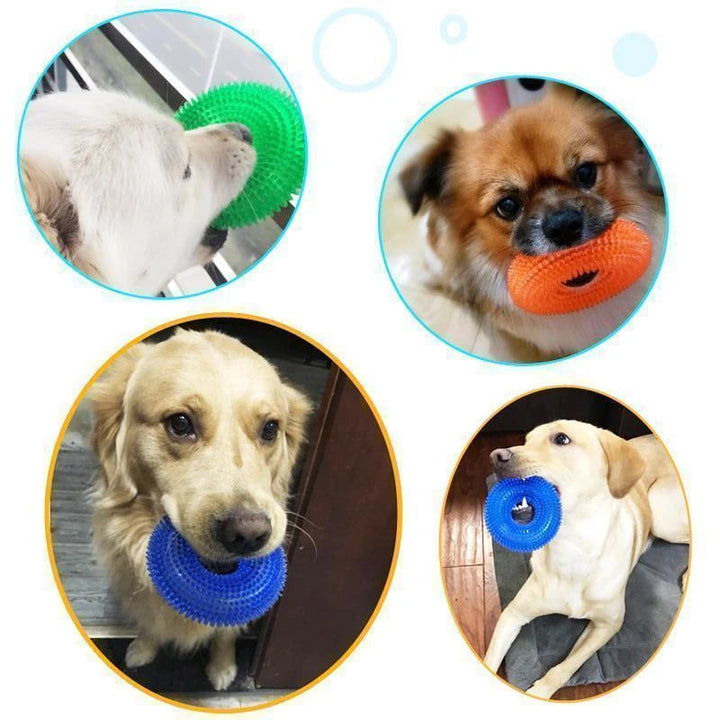 Vocal Ball Toy for Dog to Bite | Kalsten