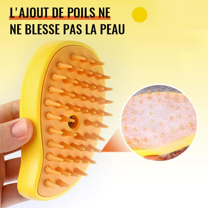 Spray massage comb for pets | Kalsten