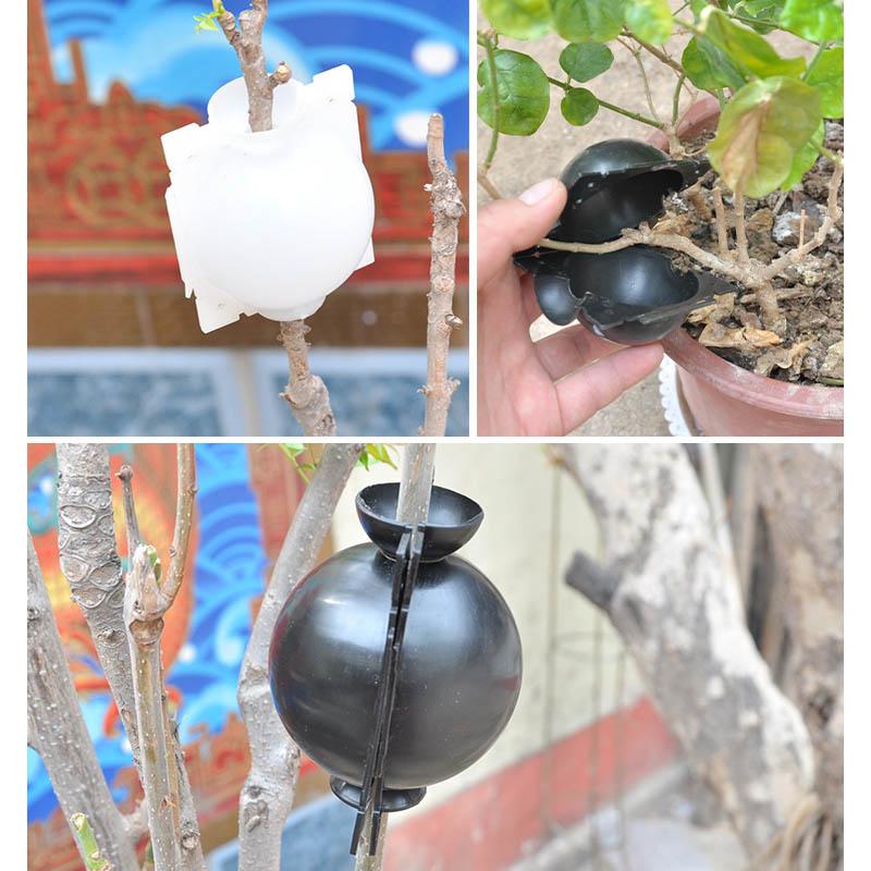 Air Layer Plant Propagation Capsule | Kalsten