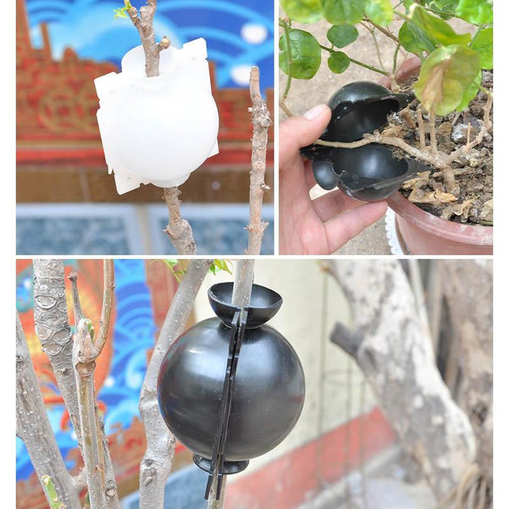 Air Layer Plant Propagation Capsule | Kalsten