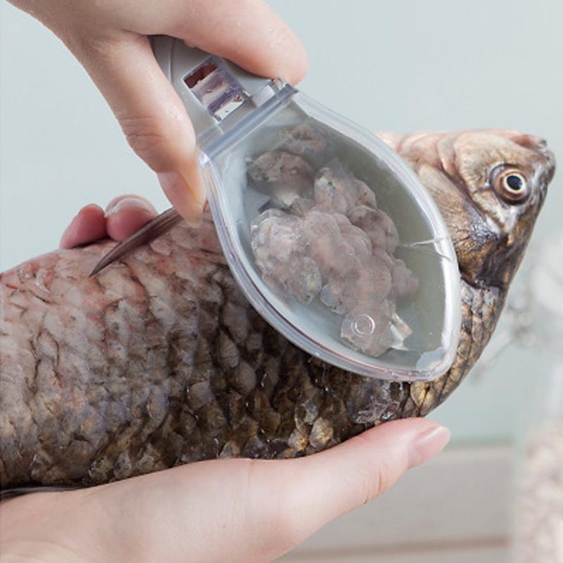 Fish skin scraping scale peeler | Kalsten