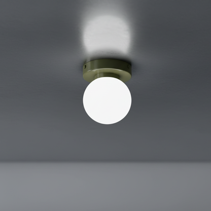 Frosted Glass Globe Wall & Ceiling Sconce