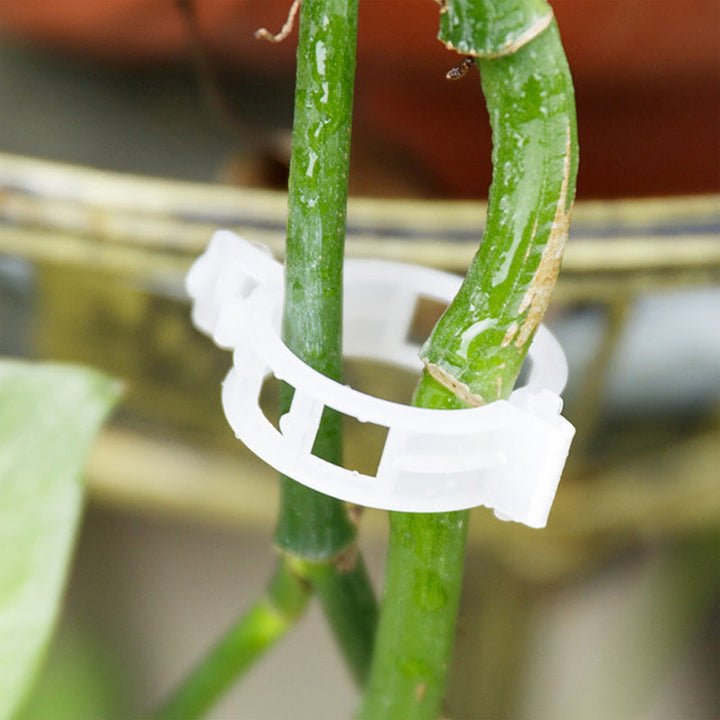 Practical Plant Support Clip | Kalsten