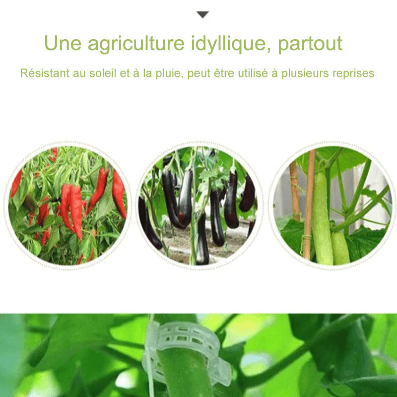 Plant support clips | Kalsten