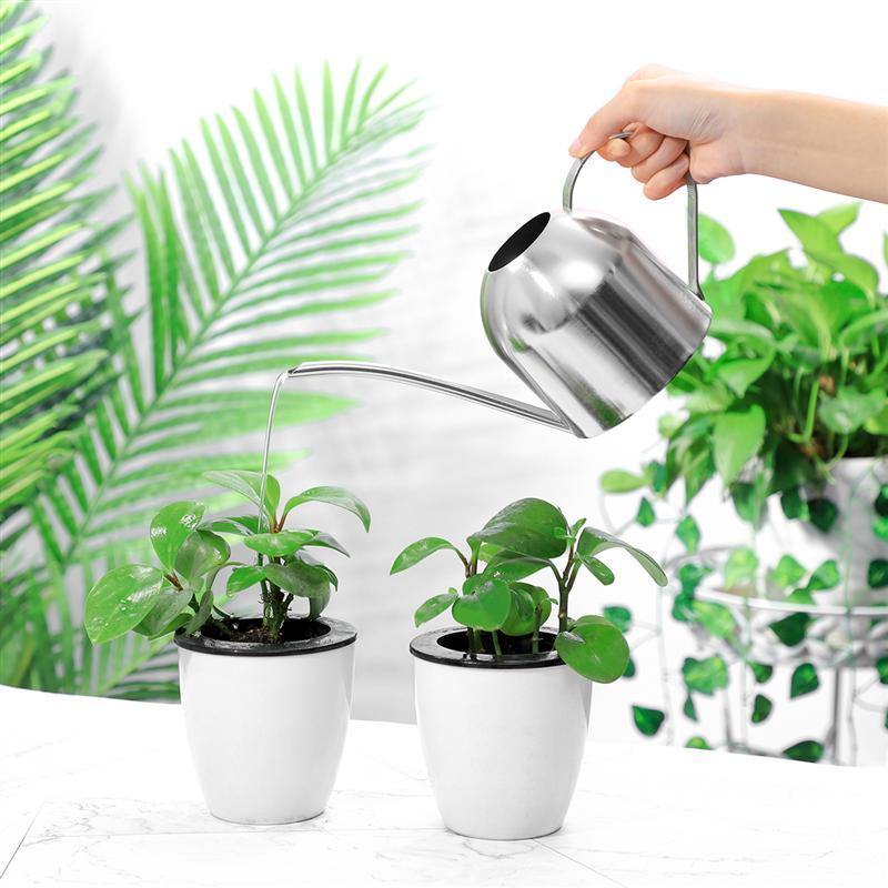 Kalsten | Stainless Steel Watering Can with Flexible Neck | Modern Design | Perfect Watering | Rustproof