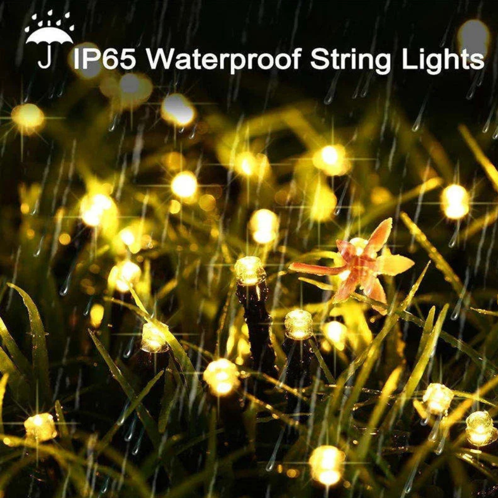 Weather-Resistant Solar LED String Lights