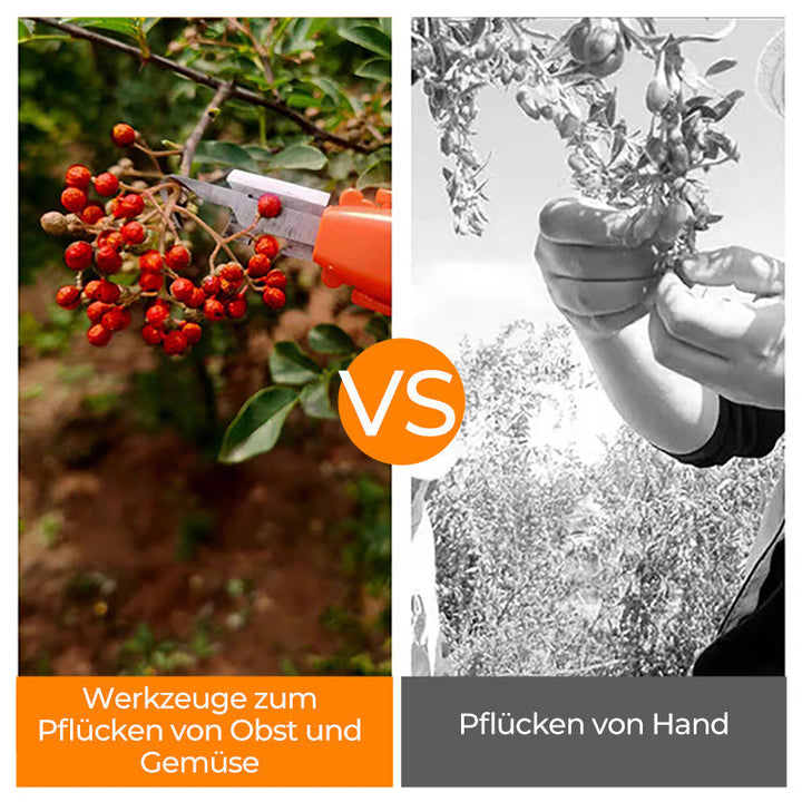 Efficient Pepper Picking Tools | Kalsten