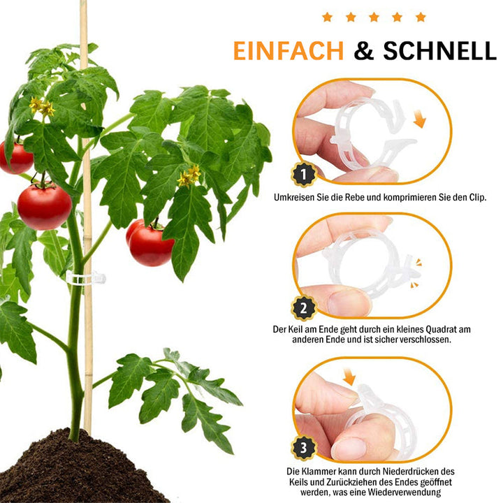Plastic ring for holding plants | Kalsten
