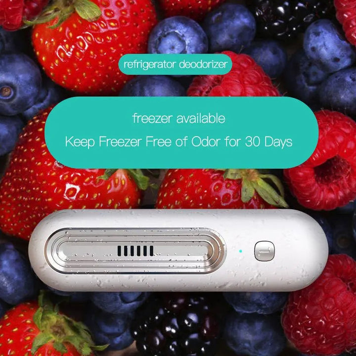 Kalsten | Compact Air Purifier and Refrigerator Deodorizer