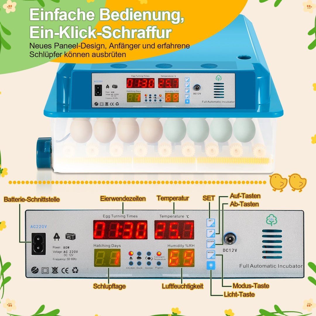 Brutautomat Fully Automatic Incubator for Chickens 64 Eggs | Kalsten