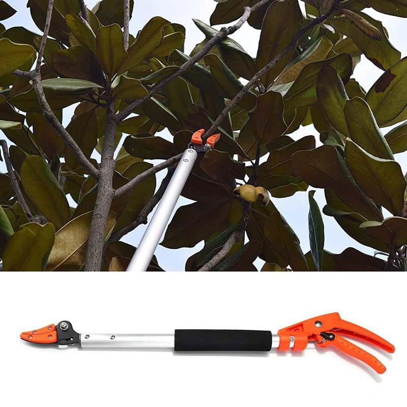 Kalsten | TrimReach – Effortless cutting of tall hedges