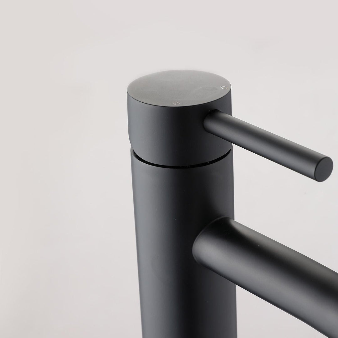Matte Black Single-Handle Sink Faucet Kalsten